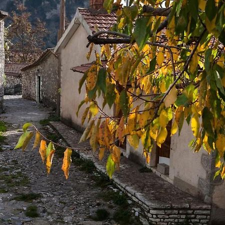 Bezeniko Amazing Arcadian Property! Vlacherna ภายนอก รูปภาพ